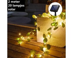 Xtraworks-led lamp op zonne solar light string eucalyptus wijnstok 2 meter 20 lichten