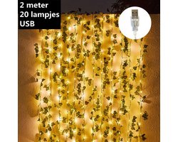 Xtraworks -led lichtsnoer esdoorn klimop slinger werkt op USB- 2meter 20 lampjes