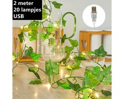 Xtraworks -led lichtsnoer tweekleurig esdoornblad werkt op USB - 2 meter 20 lampjes