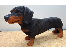XXL Kortharige Teckel Beeld – Levensecht & Gedetailleerd – Black & Tan - 26cm hoog - polyresin - polystone - Decoratie - Woonaccessoires - Beeld