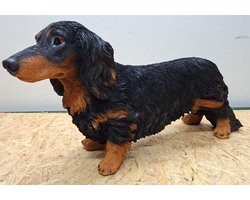 XXL Langharige Teckel Beeld – Levensecht & Gedetailleerd – Black & Tan - 26cm hoog - polyresin - polystone - Decoratie - Woonaccessoires - Beeld