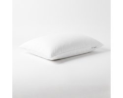 Y-NOT - Dreampillow Percale Kussen - Geschikt voor zij- en rugslapers - Hollowfiber 6D - 70 x 60 cm - 100% Perkal Katoen - Aanpasbaar