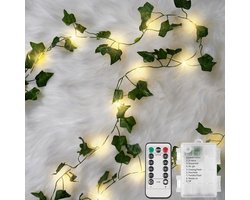 YIGOO- lichtsnoer - Klimop Slinger met Afstandsbediening - 2 meter - 20 LED Lampjes Slinger - Fairy Lights - Vines Plant Slinger - werkt op batterij