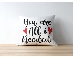 You are All i Needed Sierkussen Romantisch Liefdescitaat Kussenhoes 40x40 Decoratief Kussen voor Bank Sofa Valentijnsdag Verjaardagscadeau