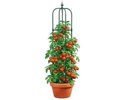 YUGN Plantensteun - Klimplantenrek - Rozenzuil 150 cm - 3 Ringen - Groen
