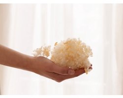 Yumeko hoofdkussen alpenden 40x80 medium - Biologisch & ecologisch