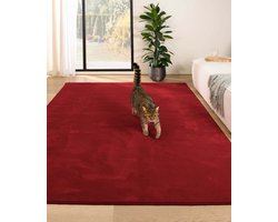 Zacht vloerkleed - Plush rood 160x230 cm