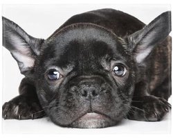 Zachte fleecedeken voor bank of bed - 150 x 200 cm - Warm en comfortabel