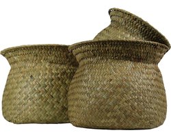 *zeegras bloempot hals (set of 3)*