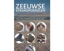 Zeeuwse strandfossielen