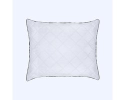 Zelesta WonderPillow 60x70 cm