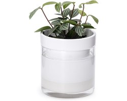 Zelf-watergevende Plantenbak Terracotta Wit met Glazen Reservoir - Ideaal voor Binnenplanten en Kruiden