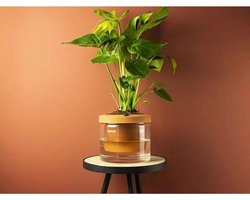 Zelfbewaterende bloempot terracotta & met glazen onderzetter - plantenpot groot keramiek - moderne bloempot ø-diameter van 14 cm (Ø 14)