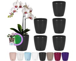 Zelfbewaterende Orchidee Potten Set van 6 - 15 cm Diameter, 2 Liter, Anthracite - Met Waterlontsysteem en Waterpeilindicator voor Indoor Gebruik