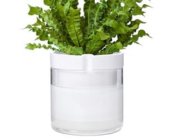 Zelfbewaterende Plantenbak 20 cm - Witte Terracotta Pot met Glazen Reservoir voor Kamerplanten, Kruiden en Bloemen