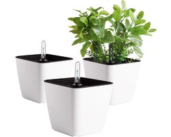 Zelfbewaterende plantenbak met waterniveau-indicator 13 cm - matwit - moderne bloempot voor kamerplanten - kruiden - aloë - Afrikaanse viooltjes - vetplanten - 3 stuks