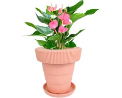 Zelfbewaterende Potten - Bloempotten Kamerplanten - Planten Verzorgen - Opvouwbaar Ontwerp - 11 x 20 x 11 cm - Roze