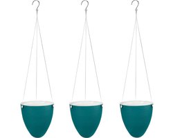 Zelfbewaterende tuinplanter | 3 stuks Succulent Bloempot Air Plant Houder | unieke eierschaal kamerplantpotten | Thuis Binnen Buiten Kantoor Decoratieve Container