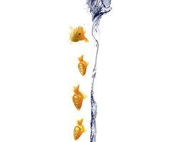 Zelfklevende stickers voor de badkamer - Underwater