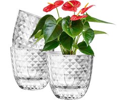 Zelfwaterende Bloempot Set - 3 Stuks - 11 cm - Transparant - Voor Kamerplanten, Orchideeën en Afrikaanse Viooltjes, Gemakkelijk Water Geven en Onderhoud