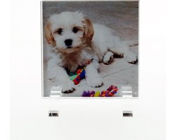 ZEP - Plexiglas / Acryl snel-wissel fotolijst Seattle voor foto formaat 10x10 incl staanders