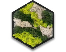 Zeshoekige muurschildering met echt mos (38 cm), geconserveerde mosafbeelding met houten lijst, natuurlijke wanddecoratie voor de woonkamer