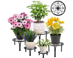 Zeynomax - Set van 5 metalen plantenstandaards | zwart | voor binnen en buiten | bloembakken | robuust | roestvrij | plantenrek | plantenbak | tuindecoratie
