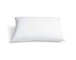 Zijden hoofdkussen Aura - Silk Heaven - 60x70cm