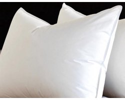 Zijden kussen (katoenen tijk): 100% zijde vulling, 40*60