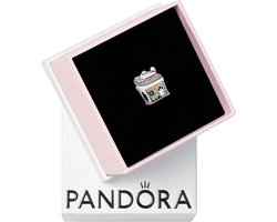 Zilveren Bedel Huisje van Peperkoek Pandora Stijl