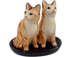 Zout- en peperstrooier keramiek cadeau katten huis keuken (rode tijgerkat)