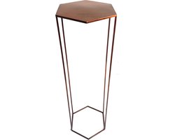 Zuil - 105cm - Koper - Sokkel - Plantentafel