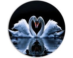 zwanen rond schilderij - dieren wandschalen - Wandpaneel water - Woonkamer decoratie industrieel - Wandschaal - Slaapkamer decoratie muurcirkel forex 90x90 cm