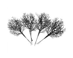 Zwarte kunstmatige takken decoratie – nep geweien takken voor Halloween, Scandinavische en tafel decoratie – decoratieve kunsttakken voor bloemstukken, bruiloft en interieur – set van 10 stuks
