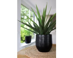 Zwarte Pot Tokio 16x14