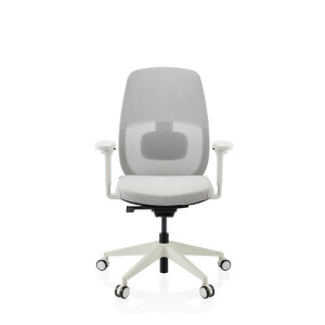 Skandis | met hoofdsteun - Professionele bureaustoel Grijs / Wit