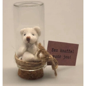 Een knuffel voor jou! Dit schattige beertje maakt deze boodschap nog specialer. Het mini knuffel beertje zit in een glazen stolpje op kurk. Een speciaal geschenk wat het hele jaar door gegeven kan worden.