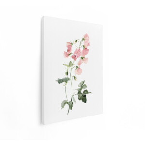 Artaza Canvas Schilderij Delicaat Aquarelschilderij van Roze Zoete Erwtenbloemen en Groene Bladeren - 90x120 cm - Groot - Wanddecoratie Woonkamer - Schilderijen - Muurdecoratie