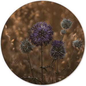 Label2X - Muurcirkel - Purple Peace Ø 80 cm - Forex - Multicolor - Wandcirkel - Rond Schilderij - Bloemen en Planten - Muurdecoratie Cirkel - Wandecoratie rond - Decoratie voor woonkamer of slaapkamer
