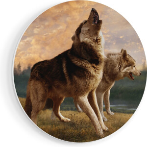 Artaza Forex Muurcirkel Twee Wolven Op Het Gras - 90x90 cm - Groot - Wandcirkel - Rond Schilderij - Muurdecoratie Cirkel