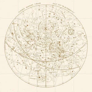 IXXI Visible Heavens Gold, Aster Edition - 100 x 100 cm - Gratis ophangtool - Grote wanddecoratie en posters - Illustraties, Houtsnede, Vintage