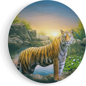 Artaza Forex Muurcirkel Luipaard In Een Vijver Bij Zonsondergang - 40x40 cm - Klein - Wandcirkel - Rond Schilderij - Wanddecoratie Cirkel