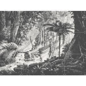 IXXI Brazilian Jungle, Aster Edition - 80 x 60 cm - Gratis ophangtool - Grote wanddecoratie en posters - Vintage, Houtsnede, Illustraties