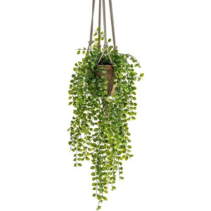 Kunst Ficus pumila hangplant 80cm