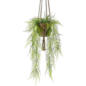 Asparagus Kunst Hangplant 80cm | Levensechte kunstplant | Kunst hangplant | Kunstplant voor binnen