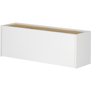 INOSIGN Hangkast GiRON/CiTY, Wandgarderobe in vier Farben, Wandschrank Wandmeubel, tijdloos modern, gezellig thuiskantoor, breedte 100 cm