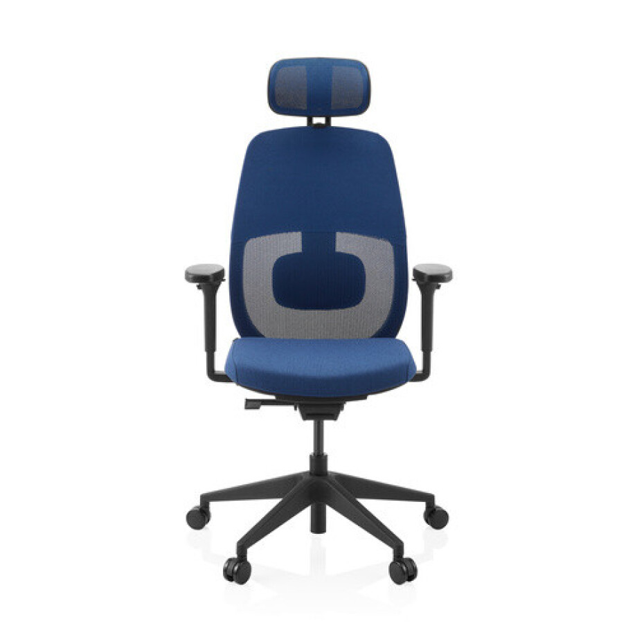 Skandis Pro | met hoofdsteun - Professionele bureaustoel Blauw / Zwart Skandis Pro | met hoofdsteun - Professionele bureaustoel Blauw / Zwart afbeelding 1