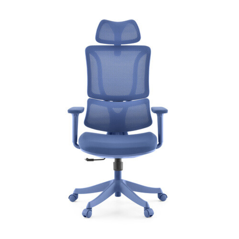 Ergomy Colore - Thuisgebruik bureaustoel Blauw afbeelding 1