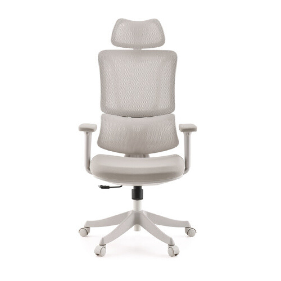 Ergomy Colore - Thuisgebruik bureaustoel Beige afbeelding 1