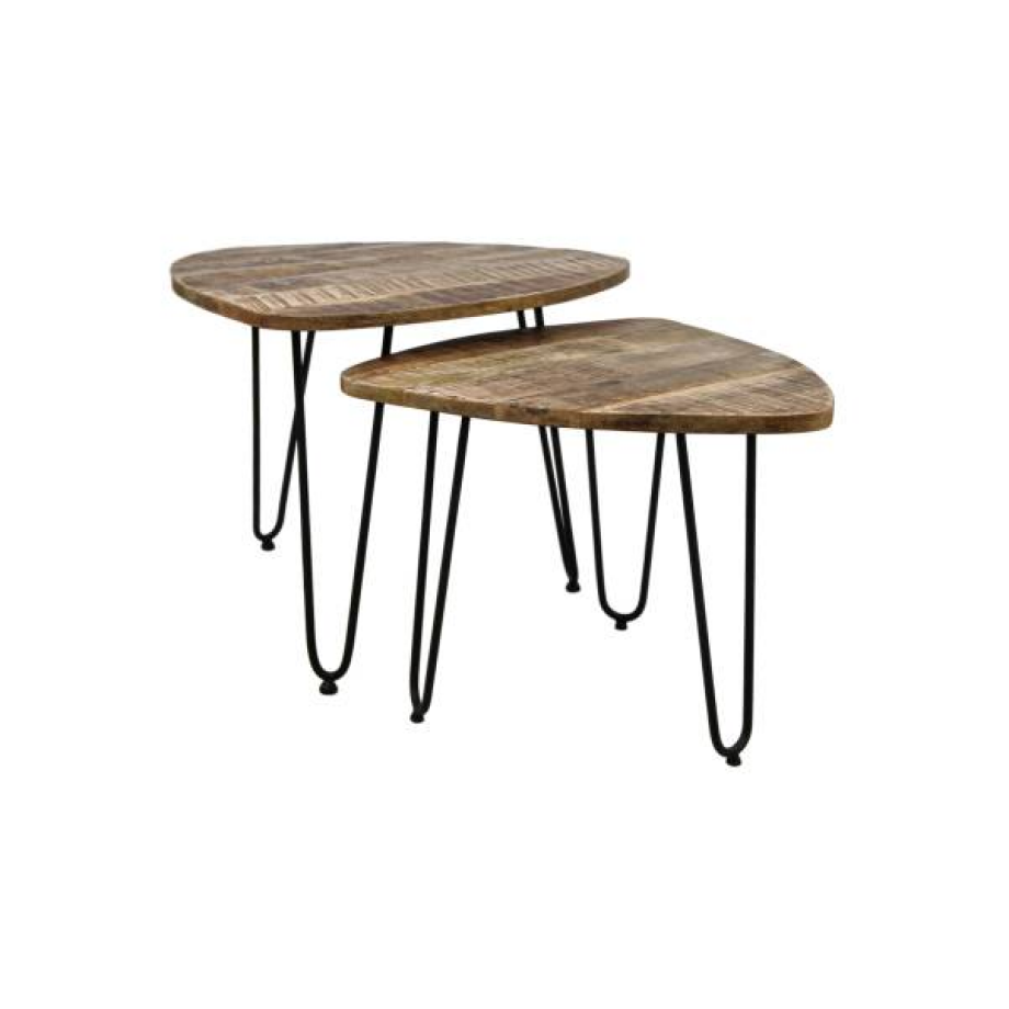 Set van 2 bijzettafels Dexter | HSM Collection afbeelding 1